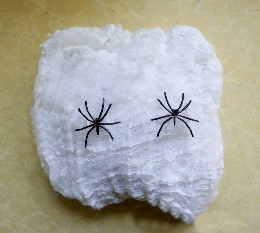 Spinnennetz