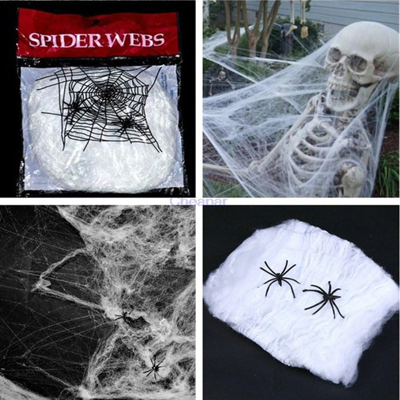 Spinnennetz